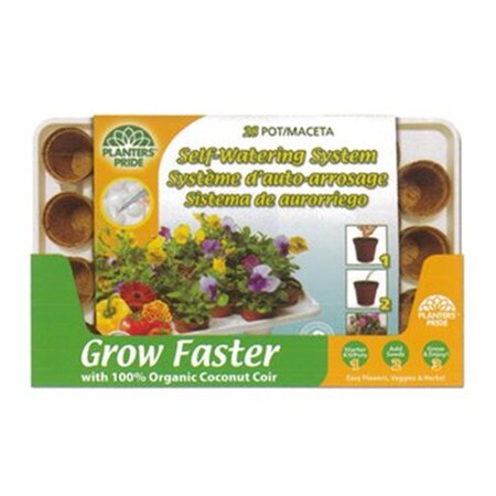 Plant Best